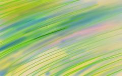 Flowergreen von 2015 - reine Digitalmalerei